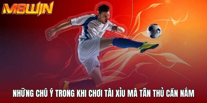 Những chú ý trong khi chơi tài xỉu mà tân thủ cần nắm